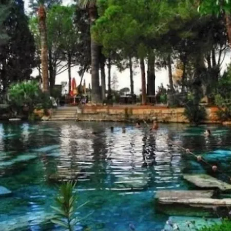 Mustafa בית הארחה 3*