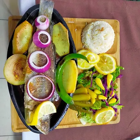 بيت ضيافة Mustafa